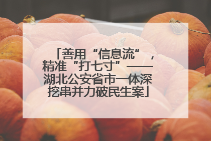 善用“信息流”，精准“打七寸”——湖北公安省市一体深挖串并力破民生案