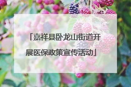 嘉祥县卧龙山街道开展医保政策宣传活动