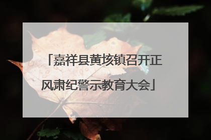 嘉祥县黄垓镇召开正风肃纪警示教育大会
