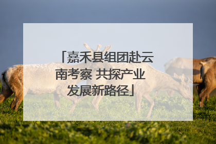 嘉禾县组团赴云南考察 共探产业发展新路径