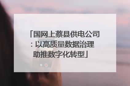 国网上蔡县供电公司：以高质量数据治理 助推数字化转型
