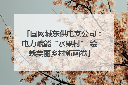 国网城东供电支公司：电力赋能“水果村” 绘就美丽乡村新画卷