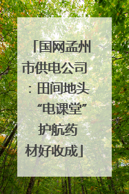 国网孟州市供电公司：田间地头“电课堂”  护航药材好收成