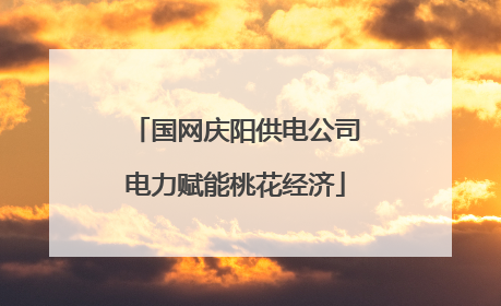 国网庆阳供电公司电力赋能桃花经济