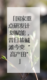 国家重点研发计划赋能，昔日盐碱滩今变“高产田”