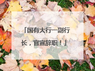 国有大行一副行长，官宣辞职！