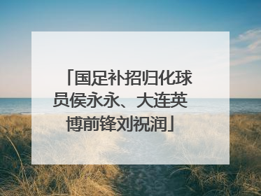 国足补招归化球员侯永永、大连英博前锋刘祝润