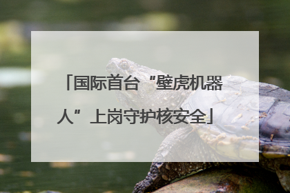 国际首台“壁虎机器人”上岗守护核安全