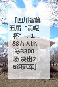 四川省第五届“贡嘎杯”：1.88万人比赛3300场 决出26组冠军