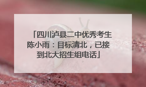 四川泸县二中优秀考生陈小雨：目标清北，已接到北大招生组电话