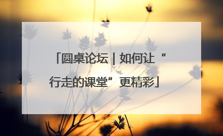圆桌论坛｜如何让“行走的课堂”更精彩