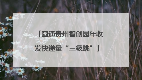 圆通贵州智创园年收发快递量“三级跳”
