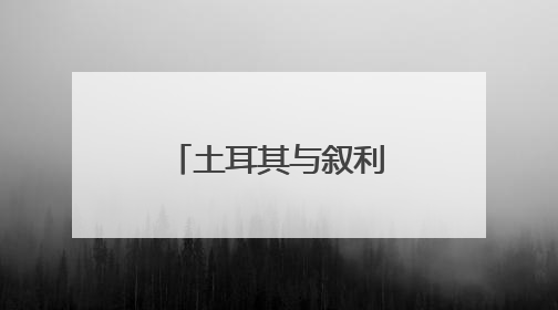 土耳其与叙利亚本月中旬起运营更多直航