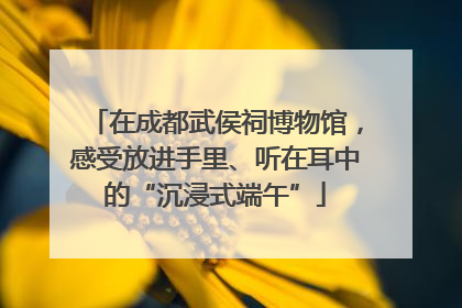 在成都武侯祠博物馆，感受放进手里、听在耳中的“沉浸式端午”