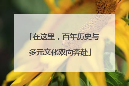 在这里，百年历史与多元文化双向奔赴