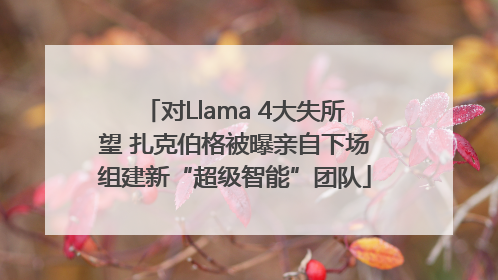 对Llama 4大失所望 扎克伯格被曝亲自下场组建新“超级智能”团队