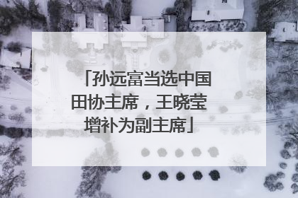 孙远富当选中国田协主席，王晓莹增补为副主席