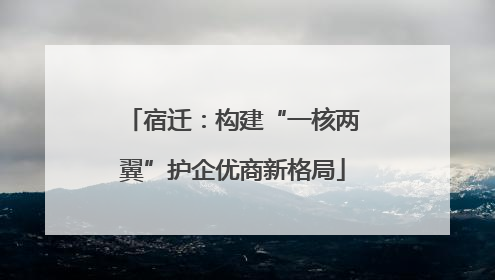 宿迁：构建“一核两翼”护企优商新格局
