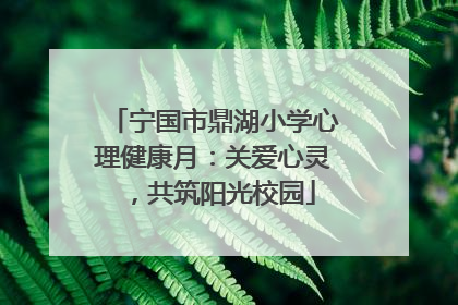 宁国市鼎湖小学心理健康月：关爱心灵，共筑阳光校园