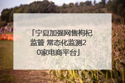 宁夏加强网售枸杞监管 常态化监测20家电商平台