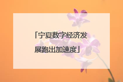 宁夏数字经济发展跑出加速度