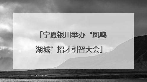 宁夏银川举办“凤鸣湖城”招才引智大会