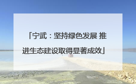 宁武：坚持绿色发展 推进生态建设取得显著成效