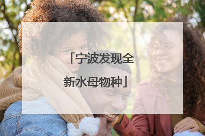 宁波发现全新水母物种