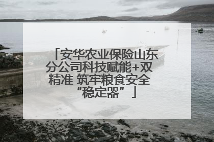 安华农业保险山东分公司科技赋能+双精准 筑牢粮食安全“稳定器”