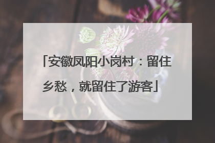 安徽凤阳小岗村：留住乡愁，就留住了游客