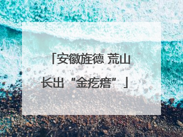安徽旌德 荒山长出“金疙瘩”