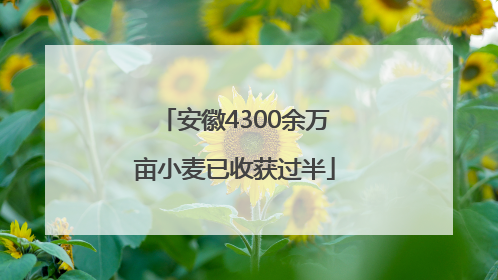 安徽4300余万亩小麦已收获过半