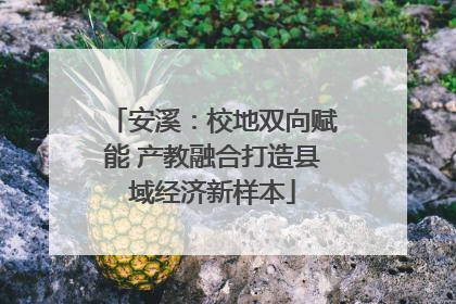 安溪：校地双向赋能 产教融合打造县域经济新样本