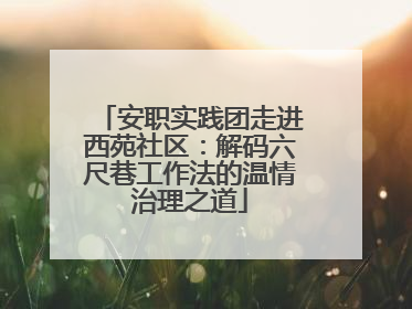 安职实践团走进西苑社区：解码六尺巷工作法的温情治理之道