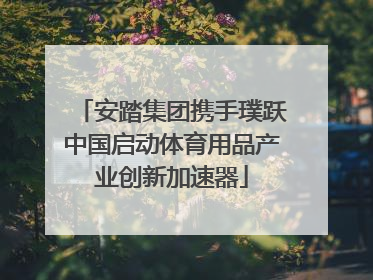 安踏集团携手璞跃中国启动体育用品产业创新加速器
