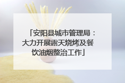 安阳县城市管理局：大力开展露天烧烤及餐饮油烟整治工作