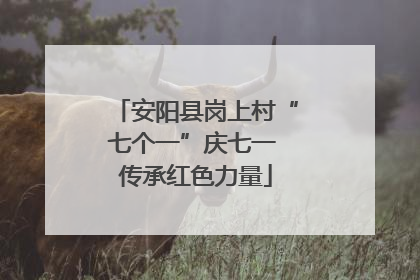 安阳县岗上村“七个一”庆七一 传承红色力量