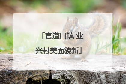 官道口镇 业兴村美面貌新