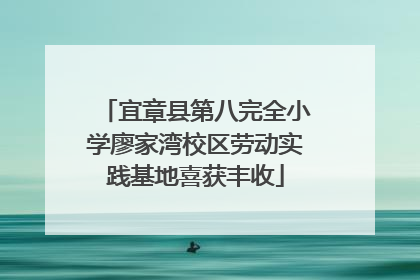 宜章县第八完全小学廖家湾校区劳动实践基地喜获丰收