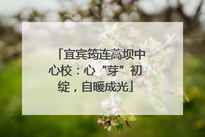 宜宾筠连蒿坝中心校：心“芽”初绽，自暖成光