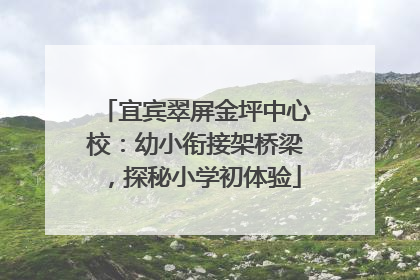 宜宾翠屏金坪中心校：幼小衔接架桥梁，探秘小学初体验
