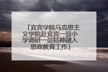 宜宾学院马克思主义学院赴宜宾一曼小学调研一曼精神融入思政教育工作