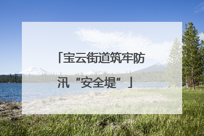 宝云街道筑牢防汛“安全堤”