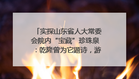 实探山东省人大常委会院内“宝藏”珍珠泉：乾隆曾为它题诗，游客无需预约免费游览