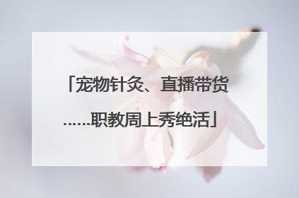 宠物针灸、直播带货……职教周上秀绝活
