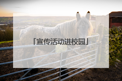 宣传活动进校园