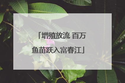 增殖放流 百万鱼苗跃入富春江
