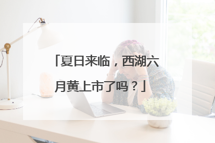 夏日来临，西湖六月黄上市了吗？