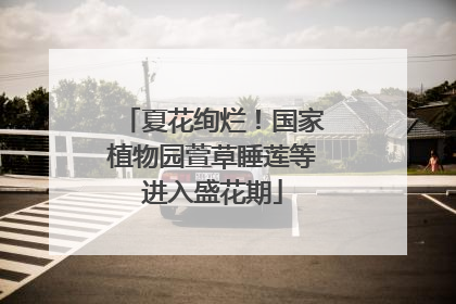 夏花绚烂！国家植物园萱草睡莲等进入盛花期