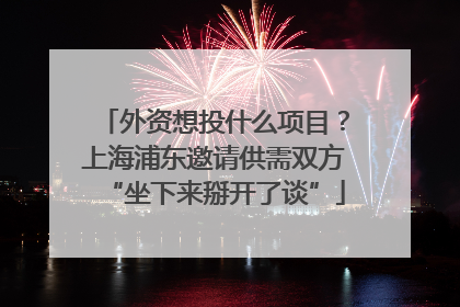 外资想投什么项目？上海浦东邀请供需双方“坐下来掰开了谈”